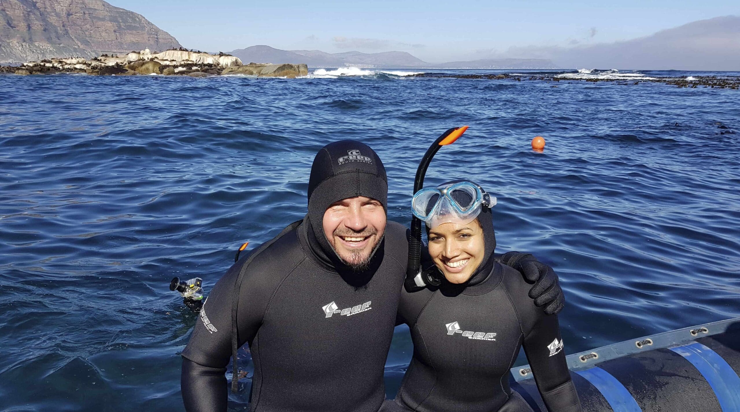 I went snorkelling with seals. Here are 5 things you need to know