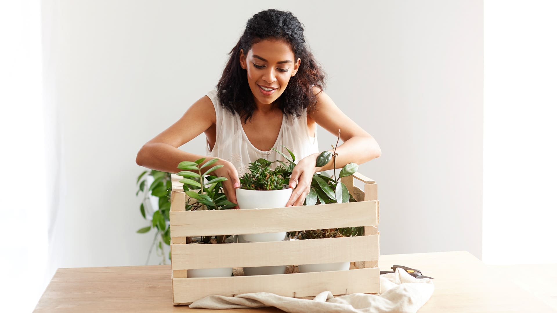 woman packing flower pots into a crate