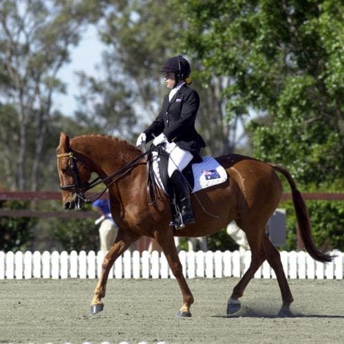 equestrian