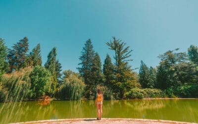A Beginner’s Guide To Hiking