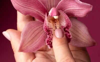 Everything You’ve Ever Wanted To Know About Clitoral Stimulation